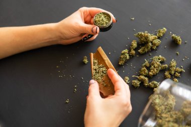 Hazırlama ve esrar esrar ortak inişli çıkışlı bir kadın. Esrar kullanımı kavramı. Esrar esrar haddeleme kadın kapatın. Marihuana künt öğütücü ile yakın çekim.