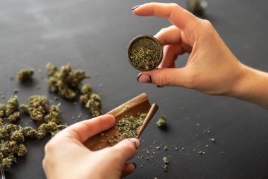Marihuana kullanımı kavramı. Marihuanayı öğütücüyle kapat. Esrar hazırlayan ve saran bir kadın. Esrar saran bir kadın. Üst görünüm