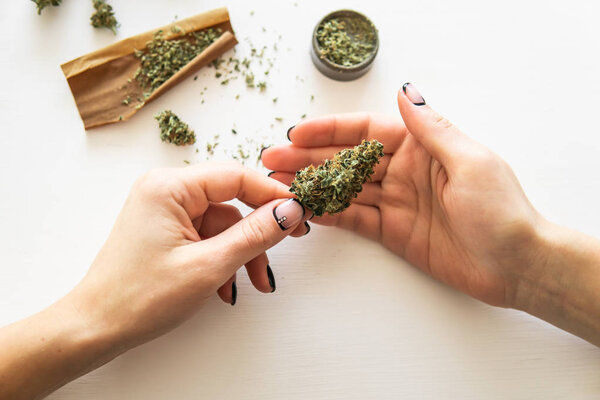 Женщина закатывает тупую коноплю на белом фоне. Женщина готовит и катит марихуану марихуану. Крупным планом марихуаны с молотилкой. Концепция использования марихуаны
.