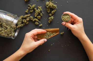 Marihuana künt öğütücü ile kapatın. Esrar esrar haddeleme kadın kapatın. Hazırlama ve esrar esrar ortak inişli çıkışlı bir kadın. Esrar kullanımı kavramı.