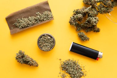 Kenevirin yasallaştırılması. Blunt ve Lighters. Bitki öğütücü Taze marihuana. Kenevir tomurcukları için CBD ve THC. Üst Manzara. Kopyalama alanı için sarı arkaplan üzerinde esrar tomurcukları.