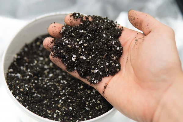 Pote com solo para o cultivo de cannabis. Feche o Substrato para a marijuana. O conceito de cultivo de cannabis medicinal no interior doore. Uma mistura de terra, perlite e vermiculite . — Fotografia de Stock