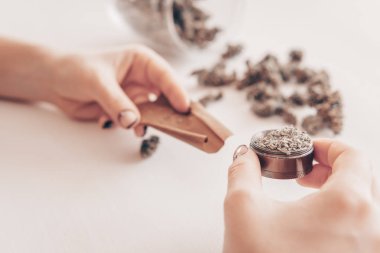 Hazırlama ve esrar esrar ortak inişli çıkışlı bir kadın. Marihuana künt öğütücü ile kapatın. Esrar kullanımı kavramı. Kadın bir esrar ortak beyaz arka plan üzerinde haddeleme.