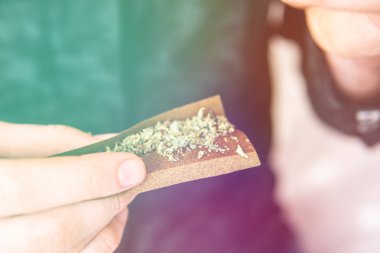 Esrar Blunt çakmak ile aydınlatma bağımlısı kapatın. İlaçlar narkotik kavramı. Adam bir esrar künt uyuşturucu kullanımı haddeleme. Yakın çekim. Hazırlama ve esrar esrar Blunt haddeleme dostum.