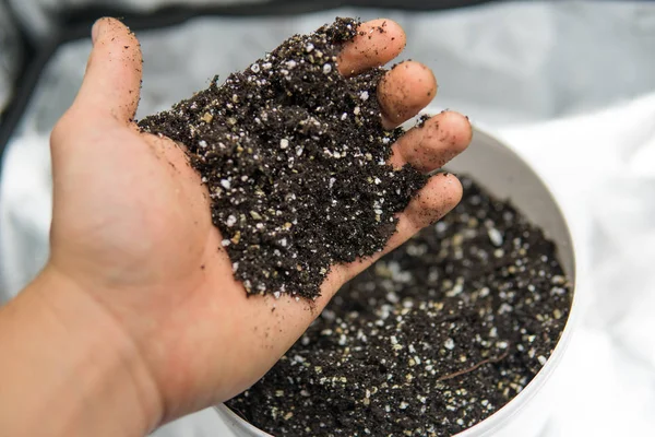 Doore tıbbi esrar kapalı büyüyen kavramı. Dünya, perlit ve vermikülit karışımı. Substrat kadar esrar için kapatın. Esrar esrar büyüyen için toprak ile.