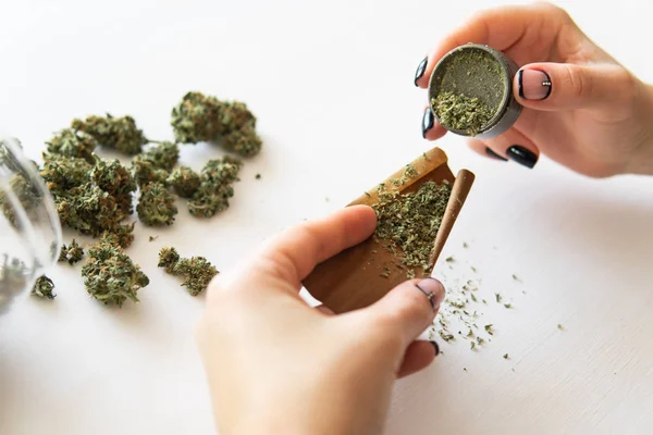 Conceito de consumo de cannabis. Mulher preparando e enrolando maconha maconha conjunta. Mulher a enrolar um charro de marijuana no fundo branco. Close up de maconha romba com moedor . — Fotografia de Stock