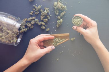 Pot kullanımı kavramı. Öğütücü ile esrar künt yakın. Yakın yukarı kadın bir esrar eklem Rolling. Kadın hazırlamak ve esrar esrar eklem haddeleme. Renk tonlama