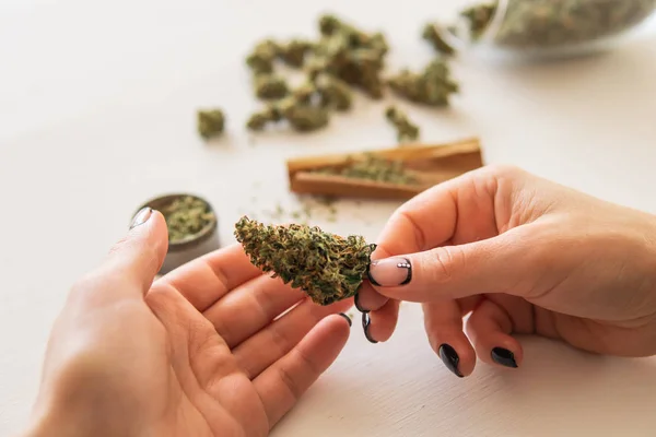 Concept de consommation de marijuana. Femme préparant et roulant cannabis joint. Gros plan de marijuana émoussée avec broyeur. Femme roulant une émoussée de cannabis sur fond blanc . — Photo