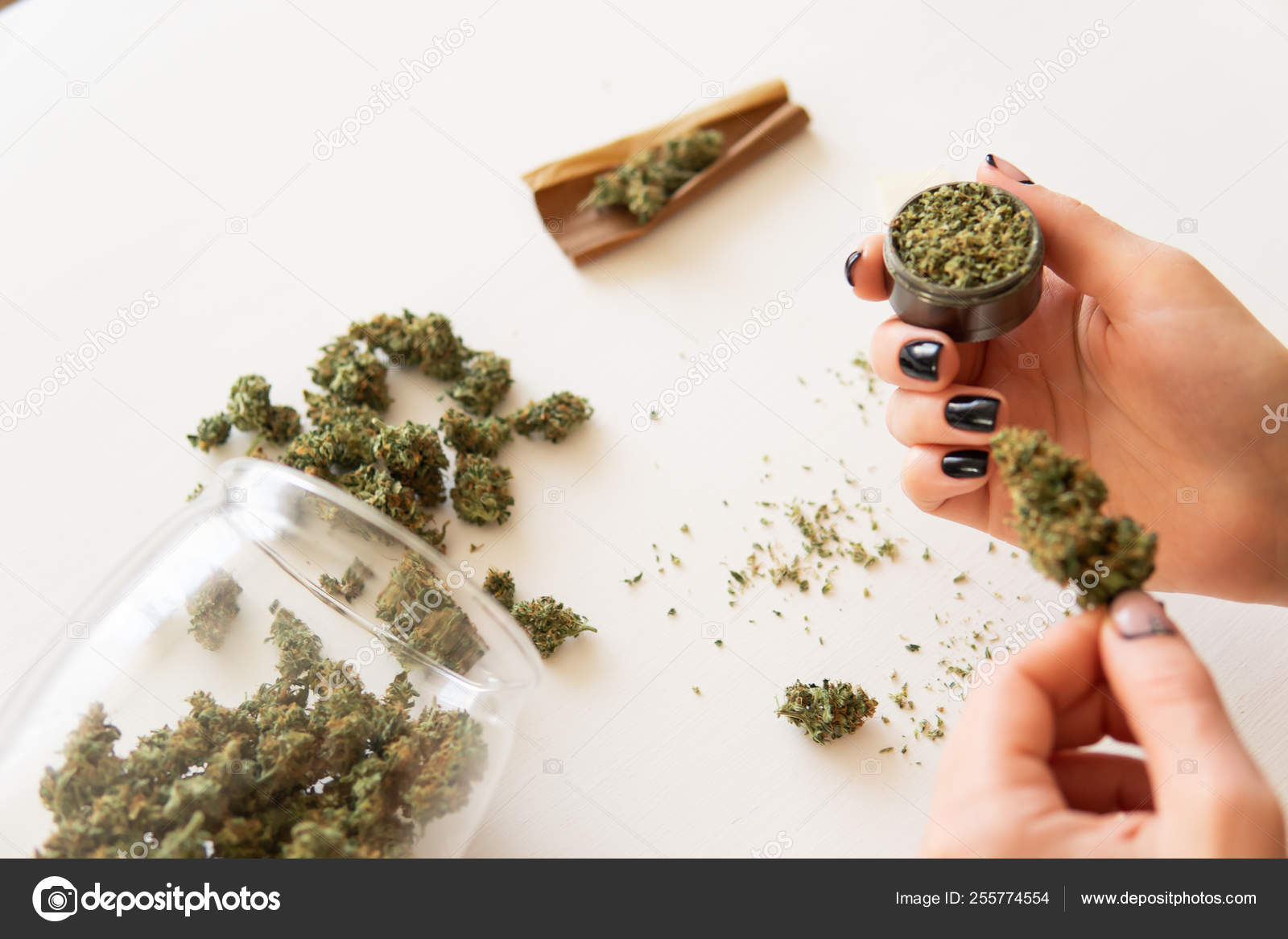 Close up of marijuana blunt with grinder. Woman rolling a cannabis