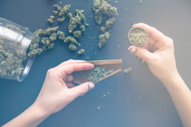 Kadın hazırlamak ve esrar esrar eklem haddeleme. Pot kullanımı kavramı. Yakın yukarı kadın bir esrar eklem Rolling. Öğütücü ile esrar künt yakın. Renk tonlama