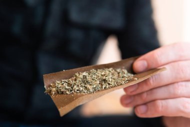 Adam marihuana yuvarlanan uyuşturucu kullanımı. Adam hazırlamak ve esrar esrar haddeleme Blunt. Uyuşturucu narkotik konsepti. Bağımlının yakın kadar marihuana kadar aydınlatma Blunt daha hafif. Yakın çekim.