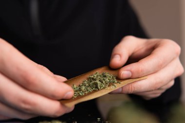 Esrar saran bir adam. Çakmakla marihuana dükkanını kapat. Esrar saran bir adam.