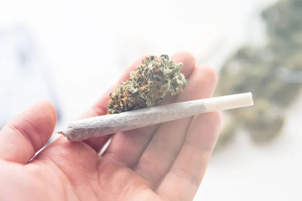 Marihuana conjunta y Cannabis brotes en la mano fugas de luz tonos de color —  Fotos de Stock