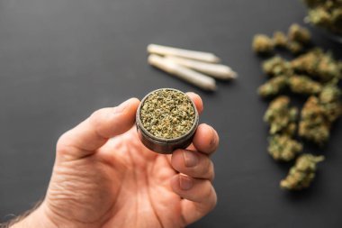 Elinde taze marihuana olan öğütücü, esrarlı esrar, yakın çekim, siyah masada esrar tomurcukları.,