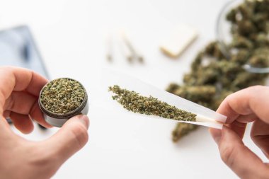 Elde öğütücü ve sarılmış esrar ve esrar