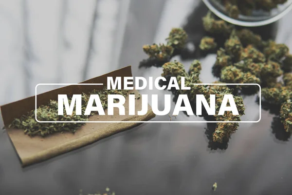 Medicinsk marijuana, Odla cannabis indica, bakgrund grön, marijuana blad, marijuana vegetation växter hampa odling cannabis, — Stockfoto