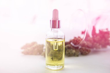 Tıbbi marihuana konsepti, doğal bitki, CBD kenevir yağı, pipette kenevir yağı, kapatın, ışık renk tonlarından sızar