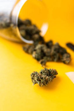 Kopyalama alanı için sarı arka planda esrar tomurcukları el ele tutuşur. Blunt ve Lighters. Bitki öğütücü Taze marihuana. Kenevir tomurcukları için CBD ve THC. Kenevirin yasallaştırılması. Kapat..