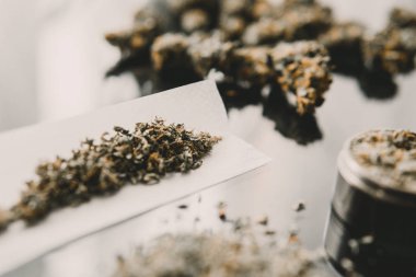 Bitki öğütücü Taze marihuana. Blunt ve Lighters. Kopyalama alanı için esrarın arka planda el ele tutuşması. Kenevir tomurcukları için CBD ve THC. Kapat..