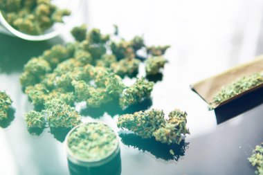 Bitki öğütücü Taze marihuana. Blunt ve Lighters. Kenevir tomurcukları için CBD ve THC. Kapatın. Boşluğu kopyalamak için siyah arkaplan üzerinde esrar tomurcukları.
