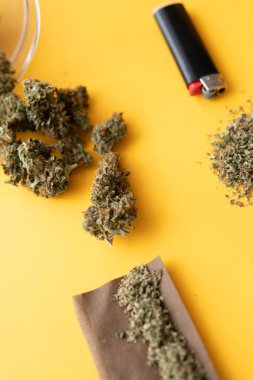 Kenevirin yasallaştırılması. Taze marihuana. Üst Manzara. Sarı arka planda esrar tomurcukları. Kenevir tomurcukları için CBD ve THC. Blunt ve Lighters. Uzayı Kopyalamak için arkaplan.