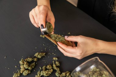 Marihuanayı öğütücüyle kapat. Marihuana kullanımı kavramı. Esrar hazırlayan ve saran bir kadın. Esrar saran bir kadın.
