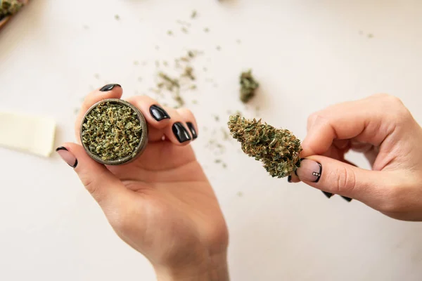 Femme roulant un cannabis contondant sur fond blanc. concept de consommation de marijuana. Gros plan de marijuana émoussée avec broyeur. Femme préparant et roulant cannabis joint. Vue du dessus — Photo