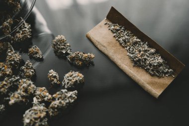 Kopyalama alanı için esrarın arka planda el ele tutuşması. Kenevir tomurcukları için CBD ve THC. Blunt ve Lighters. Kapatın. Bitki öğütücü Taze marihuana.