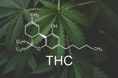 THC formülü, tetrahydrocannabinol. Kenevir ve sağlık, tıbbi marihuana, kenevir endüstrisi, CBD ve THC elementleri kenevir yetiştirme, esrar yetiştirme, zorbalık sektörü.