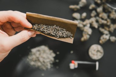 Blunt ve Lighters. Bitki öğütücü Taze marihuana. Kopyalama alanı için esrarın arka planda el ele tutuşması. Kapatın. Kenevir tomurcuklarına ilişkin CBD ve THC