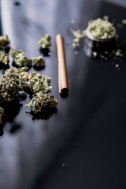 Siyah arka planda esrar tomurcukları. Kenevirin yasallaştırılması. Taze marihuana. Kenevir tomurcukları için CBD ve THC. Kopyalama uzayı için geri gruplandırma. Körelmiş için kenevir sargıları. Dikey çekim