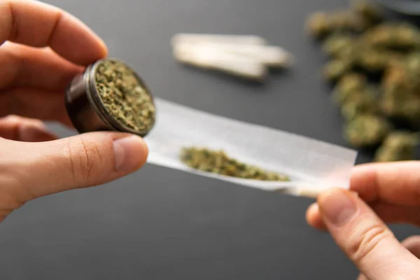 Junta enrollada con hierba, molinillo en la mano con marihuana fresca, brotes de cannabis en la mesa negra, de cerca , —  Fotos de Stock