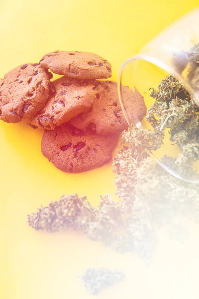 Μπισκότα με κάνναβη και μαριχουάνα στο τραπέζι. Θεραπεία της ιατρικής μαριχουάνας για χρήση σε τρόφιμα, κίτρινο φόντο. Cookies με βότανο κάνναβης CBD. Διαρροές κατακόρυφου φωτός — Φωτογραφία Αρχείου