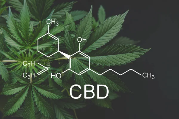 Molekula CBD