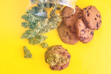 Esrar ot Cbd ile Çerezler. Gıda, sarı arka plan kullanılmak üzere tıbbi marihuana tedavisi. Masada esrar ve marihuana tomurcukları olan kurabiyeler. ışık sızıntıları