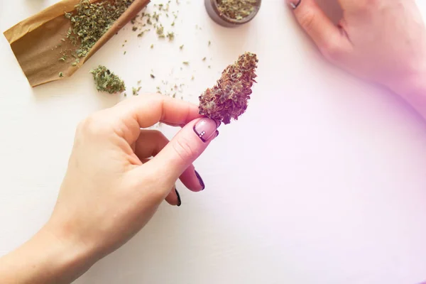 Cierre de marihuana roma con molinillo. Mujer preparando y rodando marihuana marihuana conjunta. Mujer rodando una marihuana roma sobre fondo blanco. Concepto de consumo de cannabis. tonificación de color — Foto de Stock