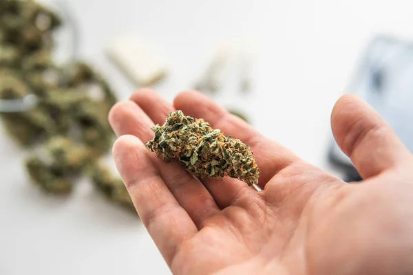 Brotes de cannabis a mano — Foto de Stock