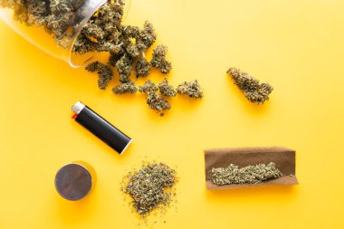 Kopyalama alanı için sarı arka planda esrar tomurcukları el ele tutuşur. Kenevirin yasallaştırılması. Blunt ve Lighters. Bitki öğütücü Taze marihuana. Kenevir tomurcukları için CBD ve THC. Üst görünüm.