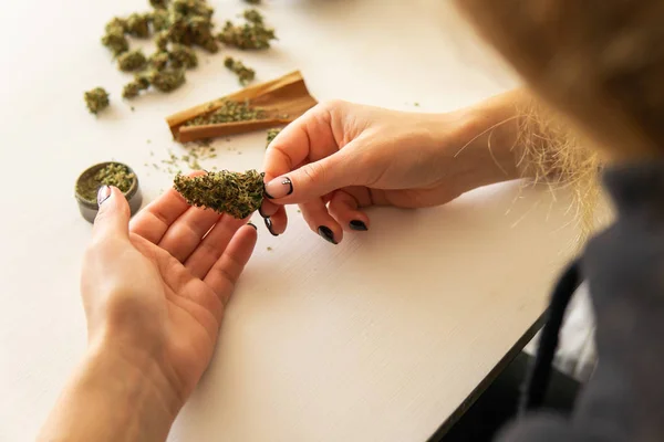 Conceito de uso de maconha. Mulher preparando e enrolando maconha maconha conjunta. Mulher a enrolar um canábis no fundo branco. Close up de maconha romba com moedor . — Fotografia de Stock