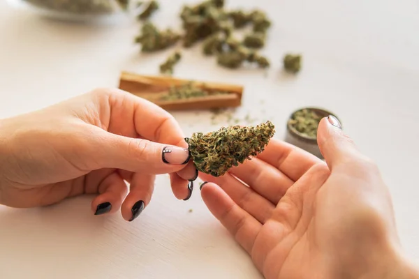 Conceito de uso de maconha. Mulher a enrolar um canábis no fundo branco. Mulher preparando e enrolando maconha maconha conjunta. Close up de maconha romba com moedor . — Fotografia de Stock