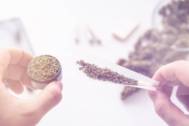 eldeki öğütücü ve unrolled ortak esrar ve Esrar esrar ışık sızıntıları renk tonları