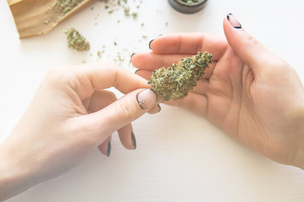 Woman rolling a cannabis blunt on white background. Close up of marijuana blunt with grinder. Woman preparing and rolling marijuana cannabis joint. marijuana use concept. Color toning