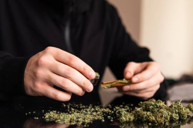 Marihuana hazırlayan ve yuvarlayan adam. Esrar saran bir adam. Marihuanayı çakmakla yakan bağımlıya yakın..