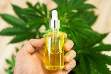 Kenevir çiçeğinden CBD yağ özü