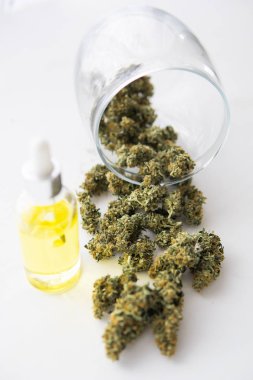 CBD kenevir yağı. Pipette bir şişe kenevir yağı, yakın çekim, tıbbi marihuana konsepti, kenevir ürünü, dikey iğne
