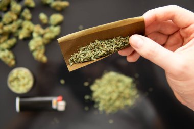 Blunt ve Lighters. Kenevir öğütücü taze marihuana tomurcukları üzerinde CBD ve THC. Kopyalama alanı için esrarın arka planda el ele tutuşması. Kapat..
