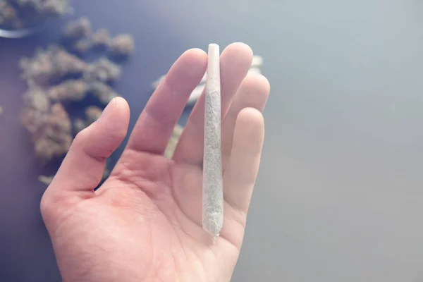 Joint med ogräs i handen och lättare, Cannabis knoppar på svart bord, närbild, kvarn med färsk marijuana, ovanifrån ljus läcker färg toner — Stockfoto