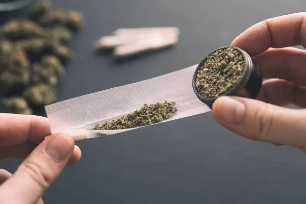 Molinillo en la mano con marihuana fresca, de cerca, brotes de cannabis en la mesa negra, enrollado conjunto con hierba , — Foto de Stock