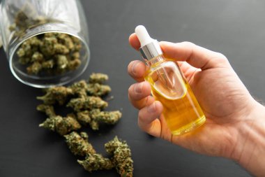 Pipette esrar yağı, tıbbi marihuana konsepti, yakın çekim, kenevir ürünü, CBD kenevir yağı, doğal bitki,