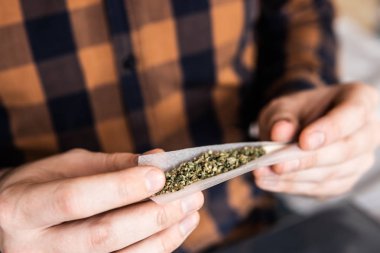 Marihuana hazırlayan ve yuvarlayan adam. Esrarkeşin çakmakla esrar içtiği yeri kapatın. Esrar saran bir adam. Uyuşturucu kullanımı. Kapatın. Uyuşturucu uyuşturucu konsepti.